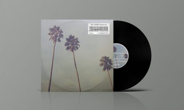 Vinyl-46